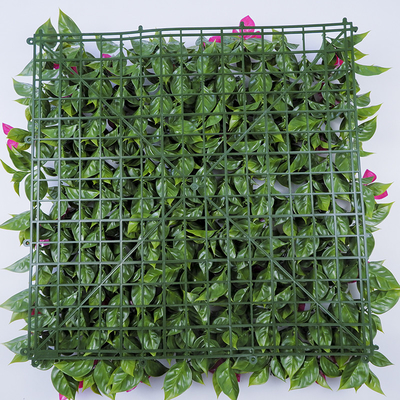 Plastic Ivy Leaf Artificial Green Walls Panels 50*50CM Outdoor Faux Boxwood
