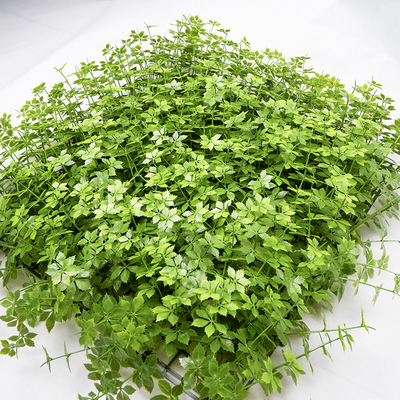 Landscaping Artificial Grass Walls Waterproof Football Fields 4cmx25cm